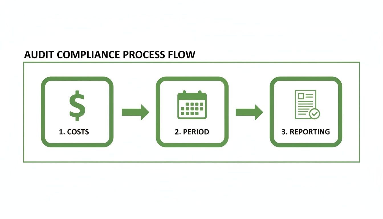 A green diagram illustrating an audit compliance process flow with three steps: costs, period, and reporting.