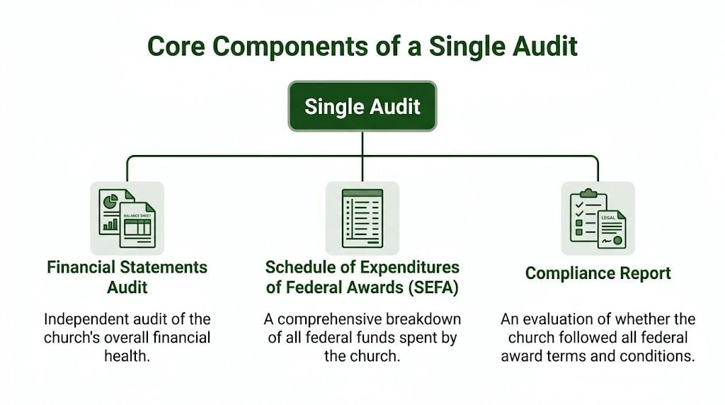 An infographic showing the three core components of a single audit: financial statements, SEFA, and compliance reports.